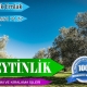 Zeytinlik Alım Satım Kiralama