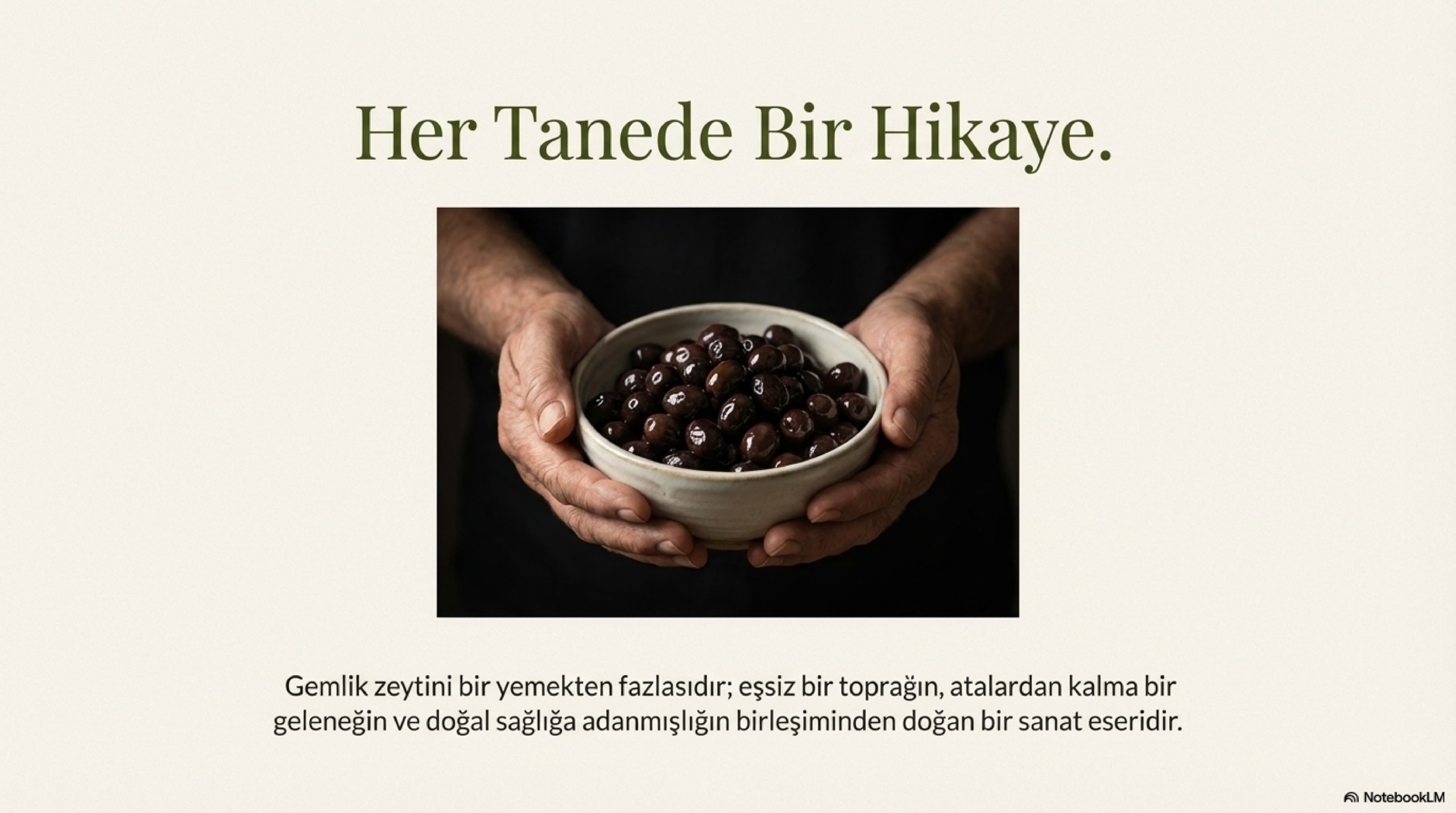 Gemlik_Olive_Legacy_From_Soil_To_Table_page-0012