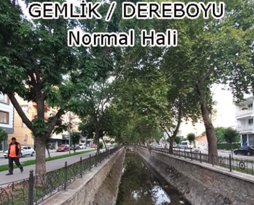 Dereboyu Normal Hali