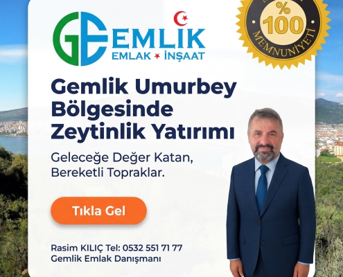 Gemlik Umurbey Zeytinlik