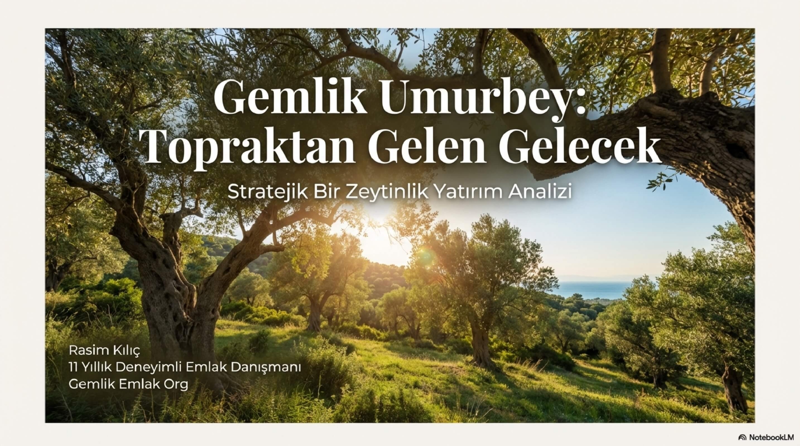 Gemlik_Umurbey_Zeytinlik_Yatırımı_page-0001