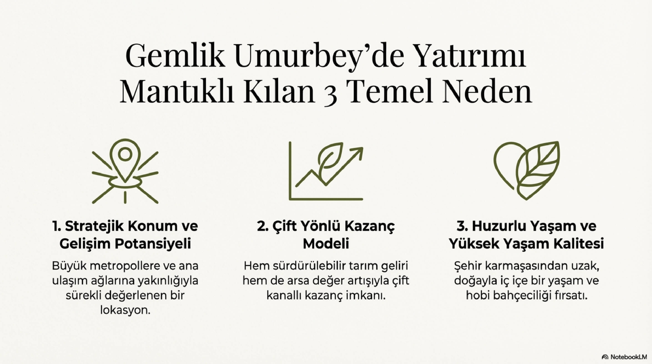 Gemlik_Umurbey_Zeytinlik_Yatırımı_page-0003