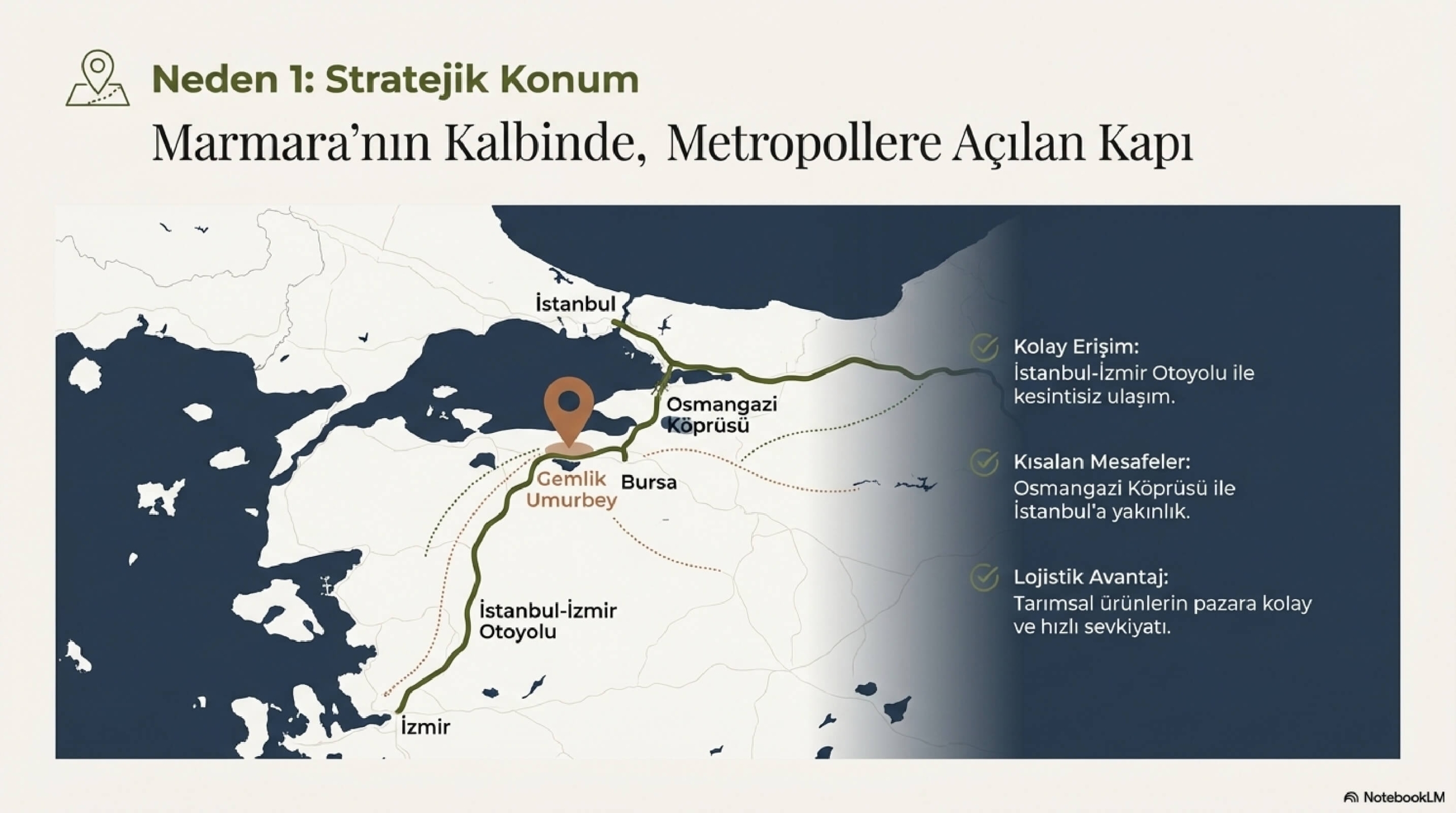 Gemlik_Umurbey_Zeytinlik_Yatırımı_page-0005