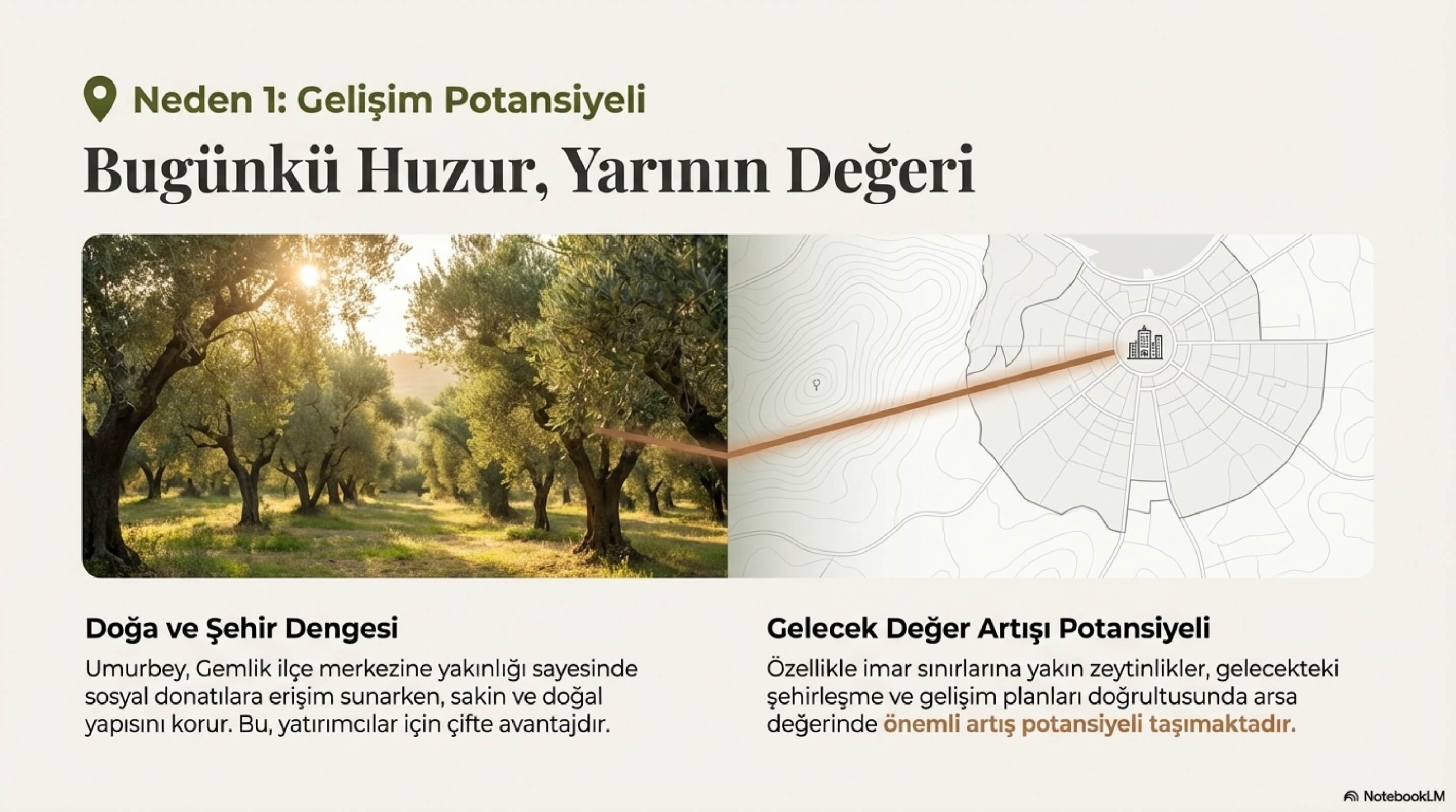 Gemlik_Umurbey_Zeytinlik_Yatırımı_page-0006
