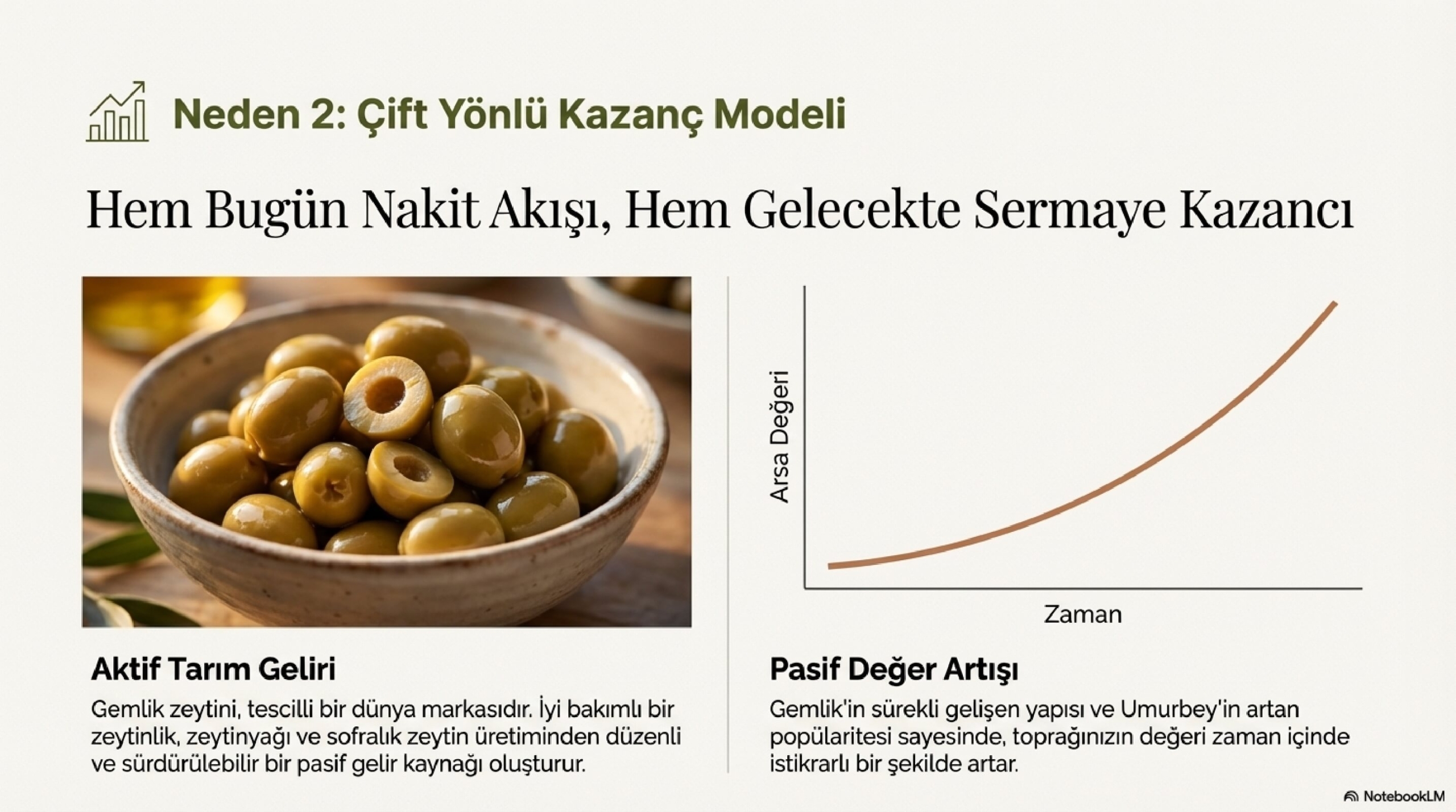 Gemlik_Umurbey_Zeytinlik_Yatırımı_page-0007