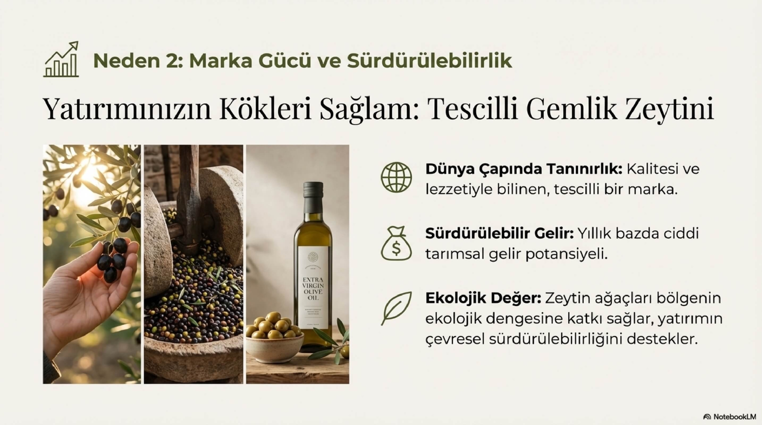 Gemlik_Umurbey_Zeytinlik_Yatırımı_page-0008