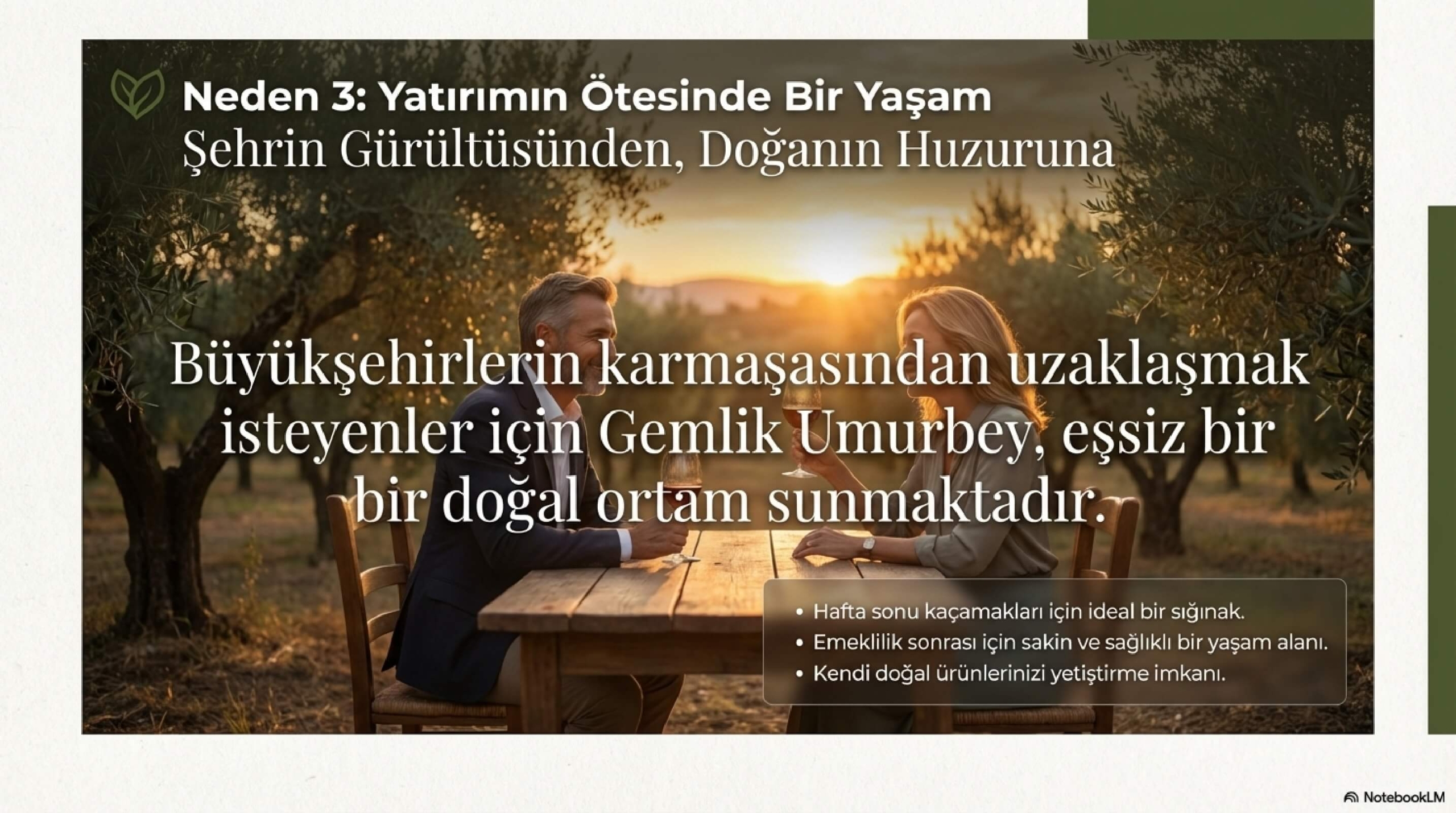 Gemlik_Umurbey_Zeytinlik_Yatırımı_page-0009