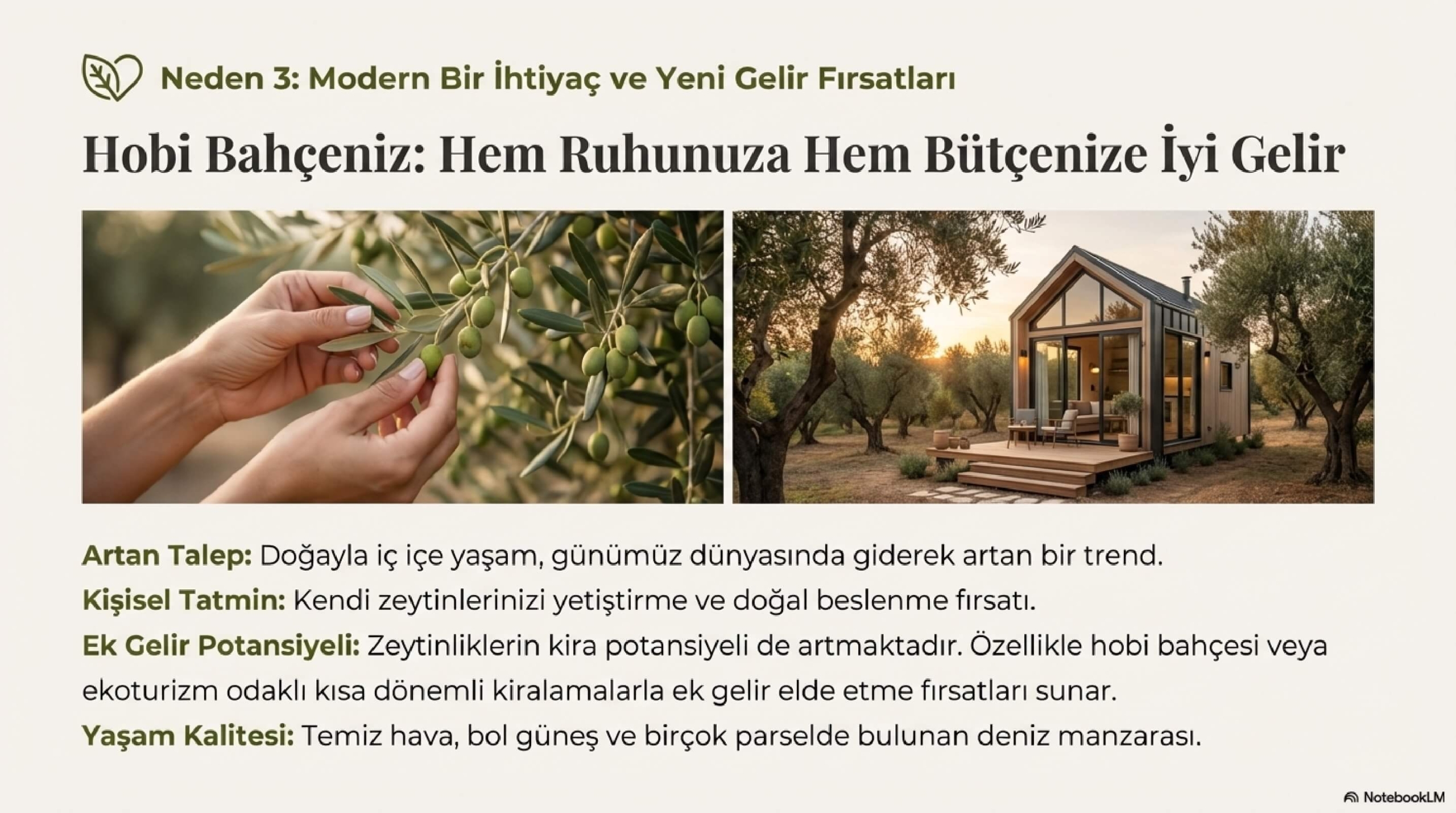 Gemlik_Umurbey_Zeytinlik_Yatırımı_page-0010