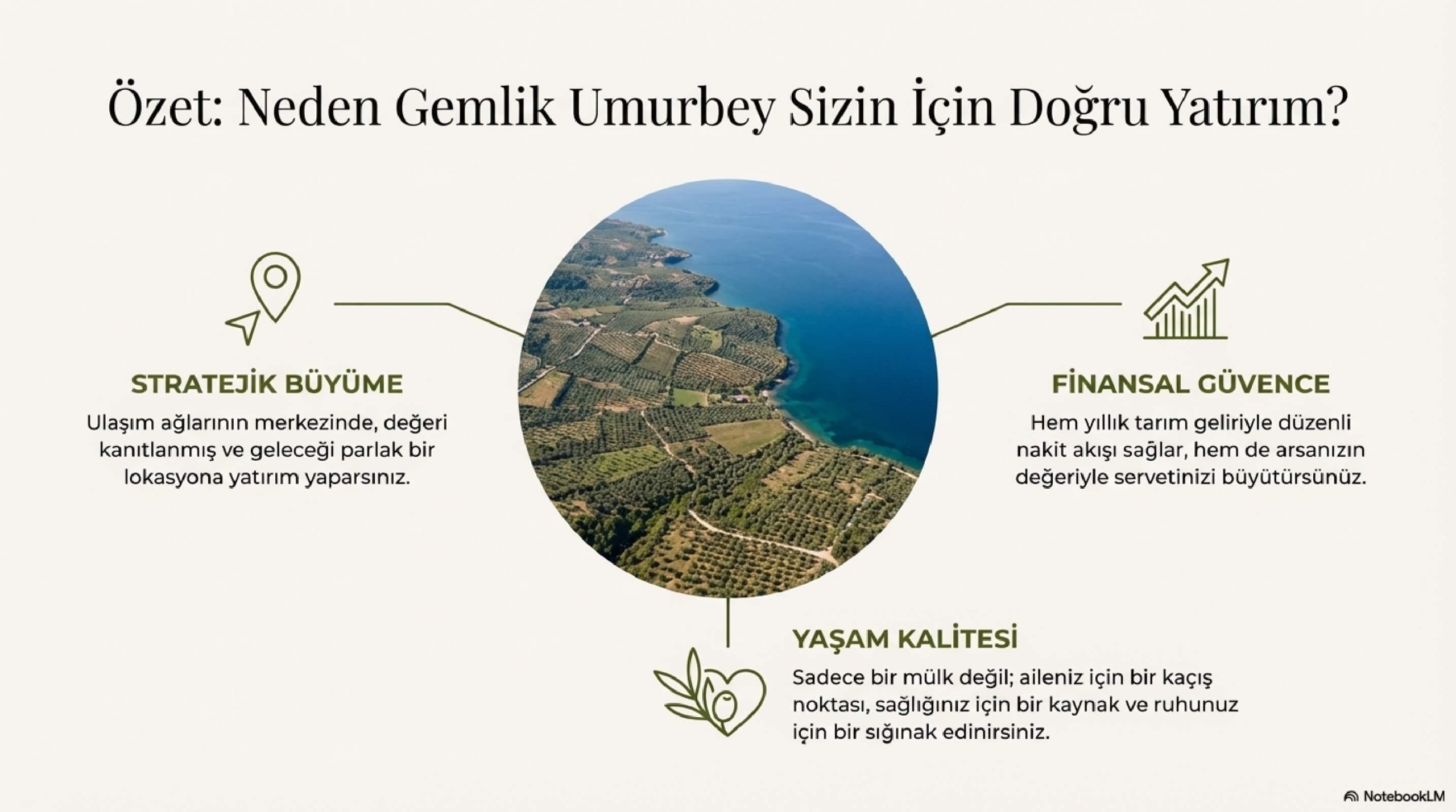 Gemlik_Umurbey_Zeytinlik_Yatırımı_page-0011