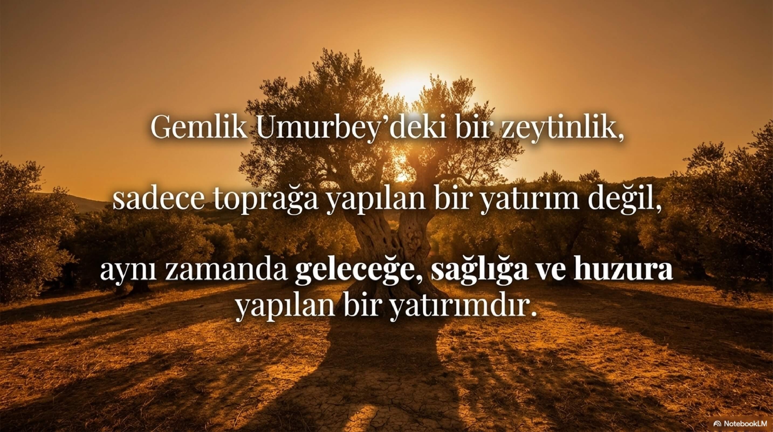 Gemlik_Umurbey_Zeytinlik_Yatırımı_page-0012